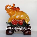 c116a-voi-vang-ben-mau-don