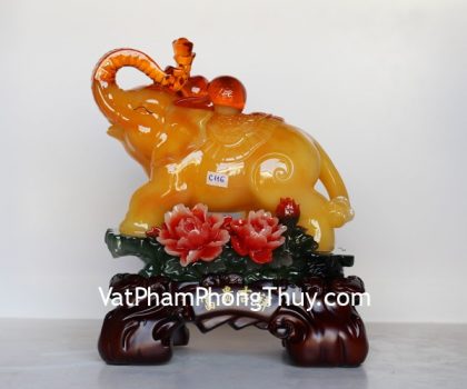 c116a-voi-vang-ben-mau-don