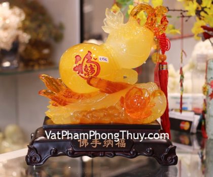 c156a-ho-lo-tay-phat-cam