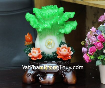 c163a-bap-cai-mau-don