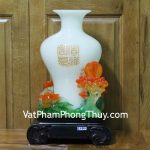 c170a-binh-trang-mau-don