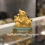 c212a-1-chuot-sa-kim