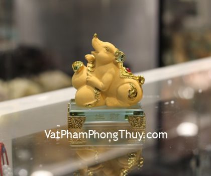 c212a-1-chuot-sa-kim