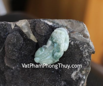 s6629-5068-ty-huu-phi-thuy-gcn-2