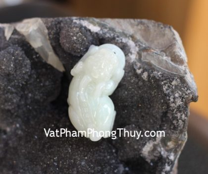 s6629-7760-ty-huu-phi-thuy-gcn-1