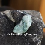 s6629-5068-ty-huu-phi-thuy-gcn-2