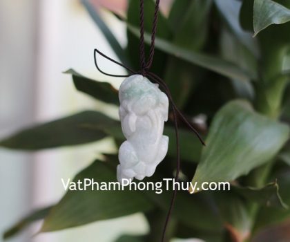 s6642-5506-ty-huu-phi-thuy-gcn-1