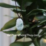 s6644-10-mat-12-con-giap-phi-thuy-DAU-1