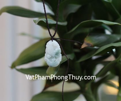 s6644-10-mat-12-con-giap-phi-thuy-DAU-1