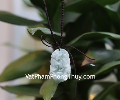 s6644-11-mat-12-con-giap-phi-thuy-TUAT-1