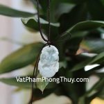 s6644-12-mat-12-con-giap-phi-thuy-HOI-1