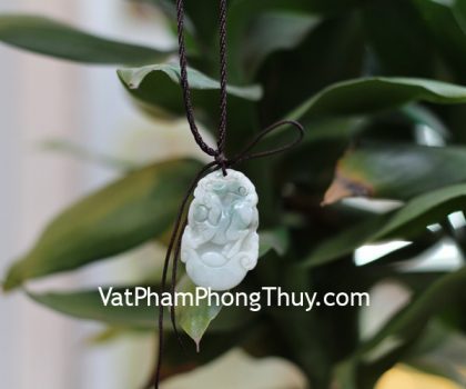 s6644-12-mat-12-con-giap-phi-thuy-HOI-1