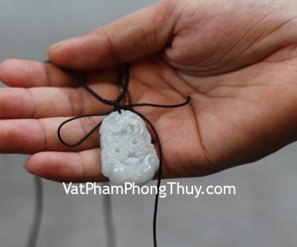 s6644-6-mat-12-con-giap-phi-thuy-RAN-2