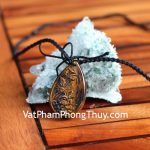 s6717-chim-phung-mat-meo-2