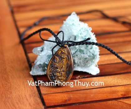 s6717-chim-phung-mat-meo-2