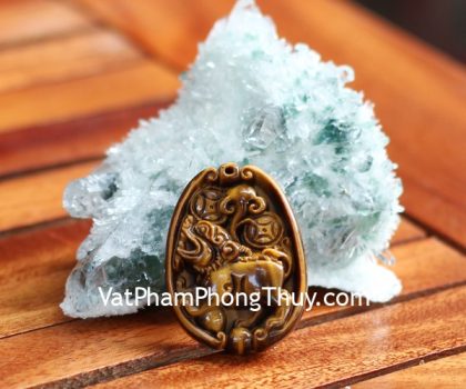 s6723-ty-huu-khuyen-mat-meo