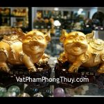 c207a-cap-heo-vang-2