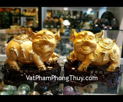 c207a-cap-heo-vang-2