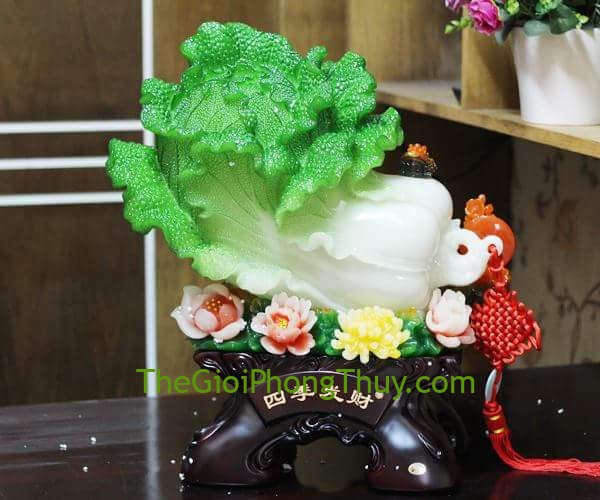 Bắp cải xanh có mẫu đơn lớn mang lại tài lộc dồi dào