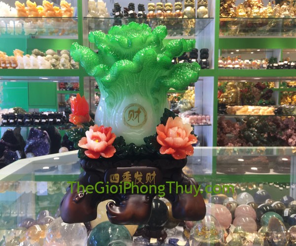 Bắp cải tứ quý phát tài mang lại tài lộc dồi dào 