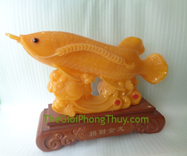 Cá kim long chiêu tài giúp trừ tà, chiêu tài 