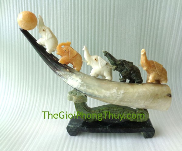 Sừng trâu nước châu phi tăng quyền lực, hút tài lộc 