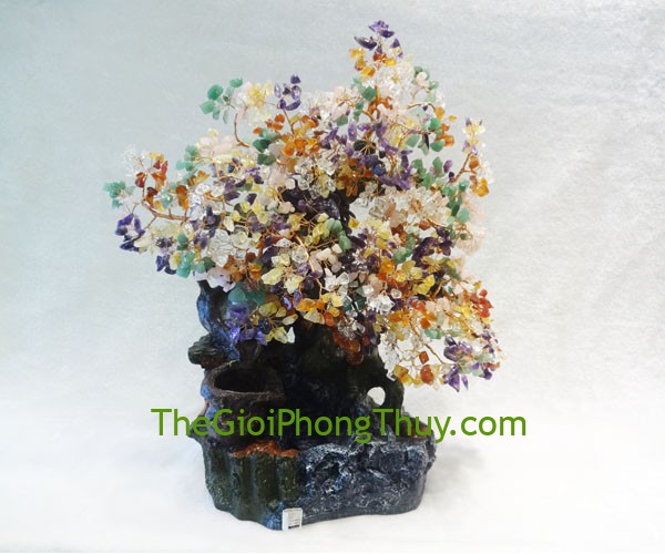 Cây tài lộc nhiều màu phong thủy luân giúp công việc thuận lợi, may mắn 