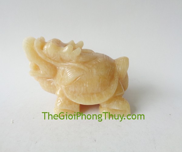 Long quy hoàng long trung củng cố sự nghiệp, địa vị 