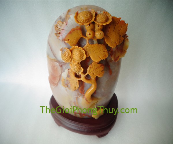 Cây Trường Thọ Phát LộcTam Thể giúp gia đạo bình an, hạnh phúc 