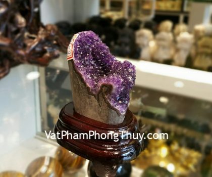 H102-1974-Bong-thach-anh-tim-1