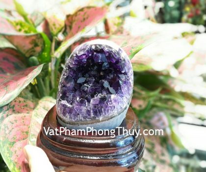 H102-3455-Bong-thach-anh-tim-21