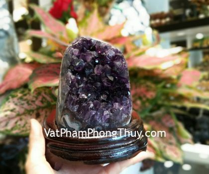 H102-7403-Bong-thach-anh-tim-2