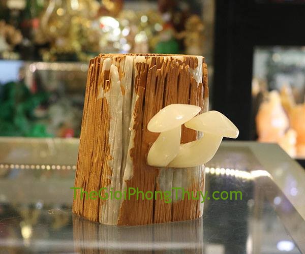 Nấm thanh ngọc đựng bút mang lại may mắn và sự thịnh vượng 