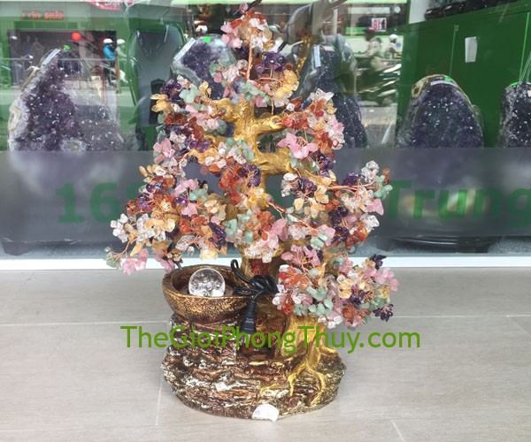 Cây tài lộc nhiều màu phong thủy luân giúp công việc thuận lợi, hành thông 