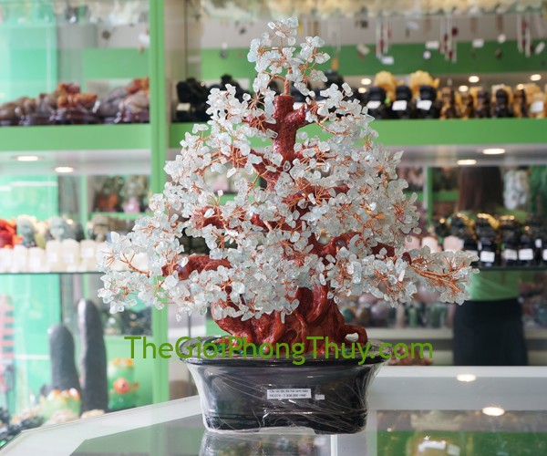 Cây tài lộc đá hải lam bảo bổ trợ tình cảm, may mắn 