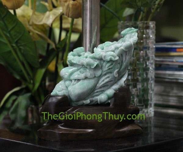 Bắp cải tài lộc vân xanh Ngọc phỉ thúy giúp kinh doanh phát đạt 