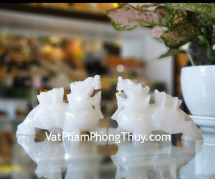 Gm004-ty-huu-bach-ngoc