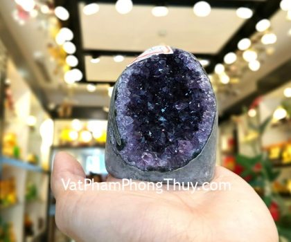 H102-1481-Bong-thach-anh-tim-21