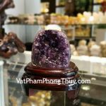 H102-1974-1-Bong-thach-anh-tim