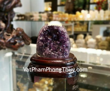 H102-1974-1-Bong-thach-anh-tim