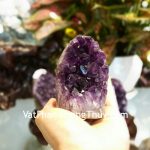 H102-1974-Bong-thach-anh-tim-22