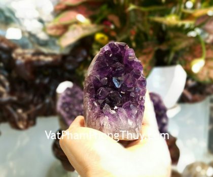 H102-1974-Bong-thach-anh-tim-22