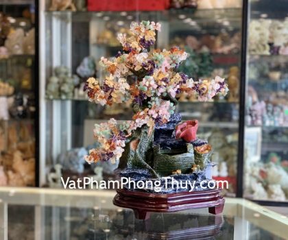 KC101-cay-PTL-luc-sac-2