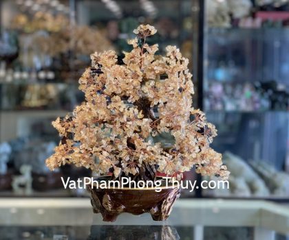 KC103-cay-thach-anh-vang-lon-de-kim-tu-thap