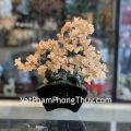 KC105-cay-thach-anh-vang-dang-bonsai-2