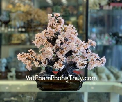 KC109-cay-thach-anh-hong-chau-nui-da-2