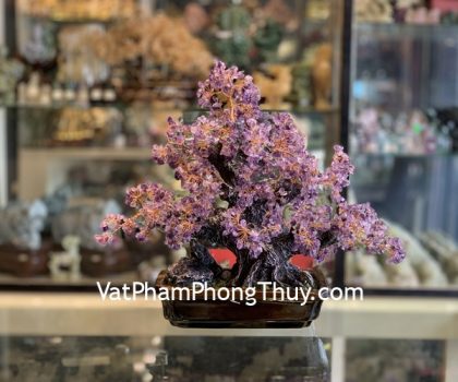 KC110-cay-thach-anh-tim-chau-nui-da-2 (1)