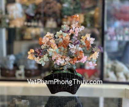 KC117-cay-luc-sac-dang-bonsai