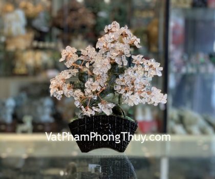 KC118-cay-thach-anh-trang-dang-bosai