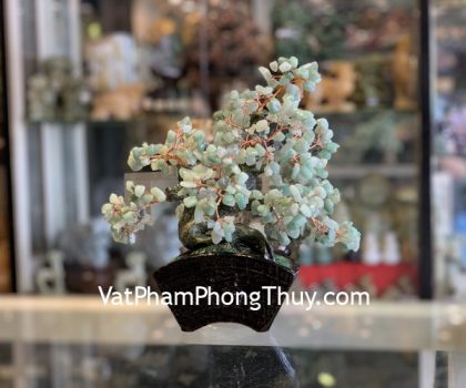 KC119-cay-dong-linh-dang-bonsai-2